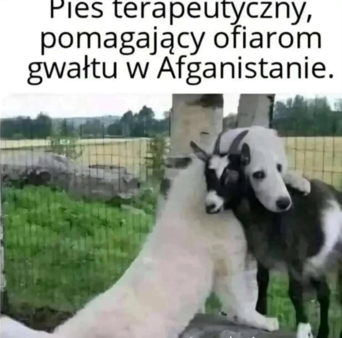 71068b97-20c3-48be-851d-bd3d20b279c0