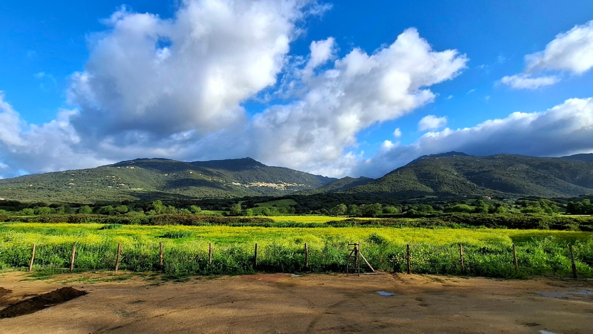 3a3afda5-99a3-4c4d-b23e-b8a771c6f58e