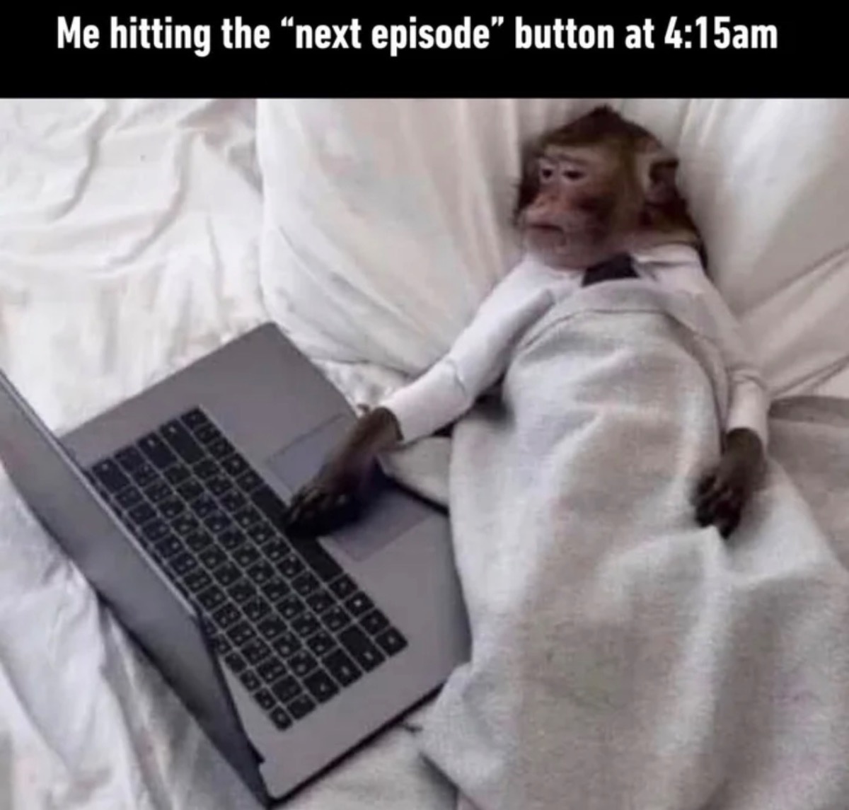 7691c650-ccb1-44fe-9734-64f505521547