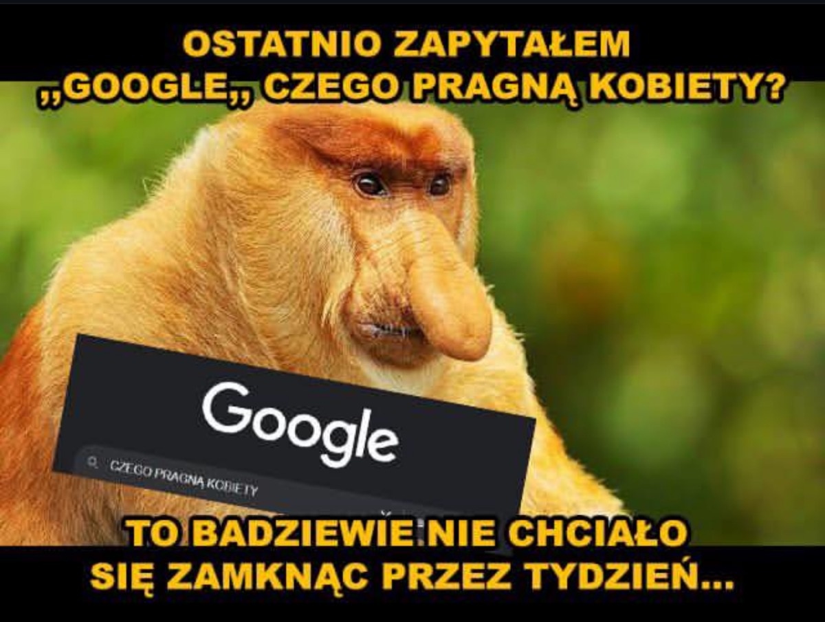 2286dc0e-1b49-4136-b417-94ba2e5bceee