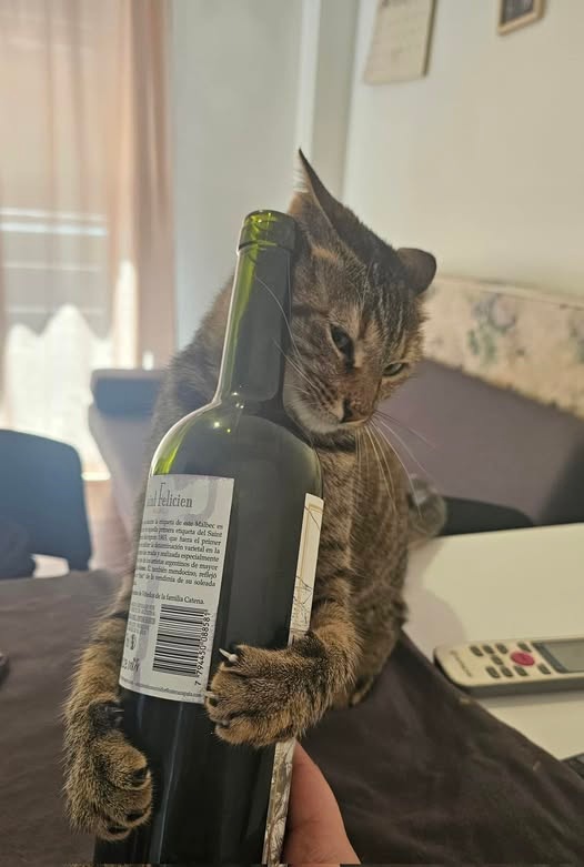 833ed323-0692-41df-a09d-6a76fb264616