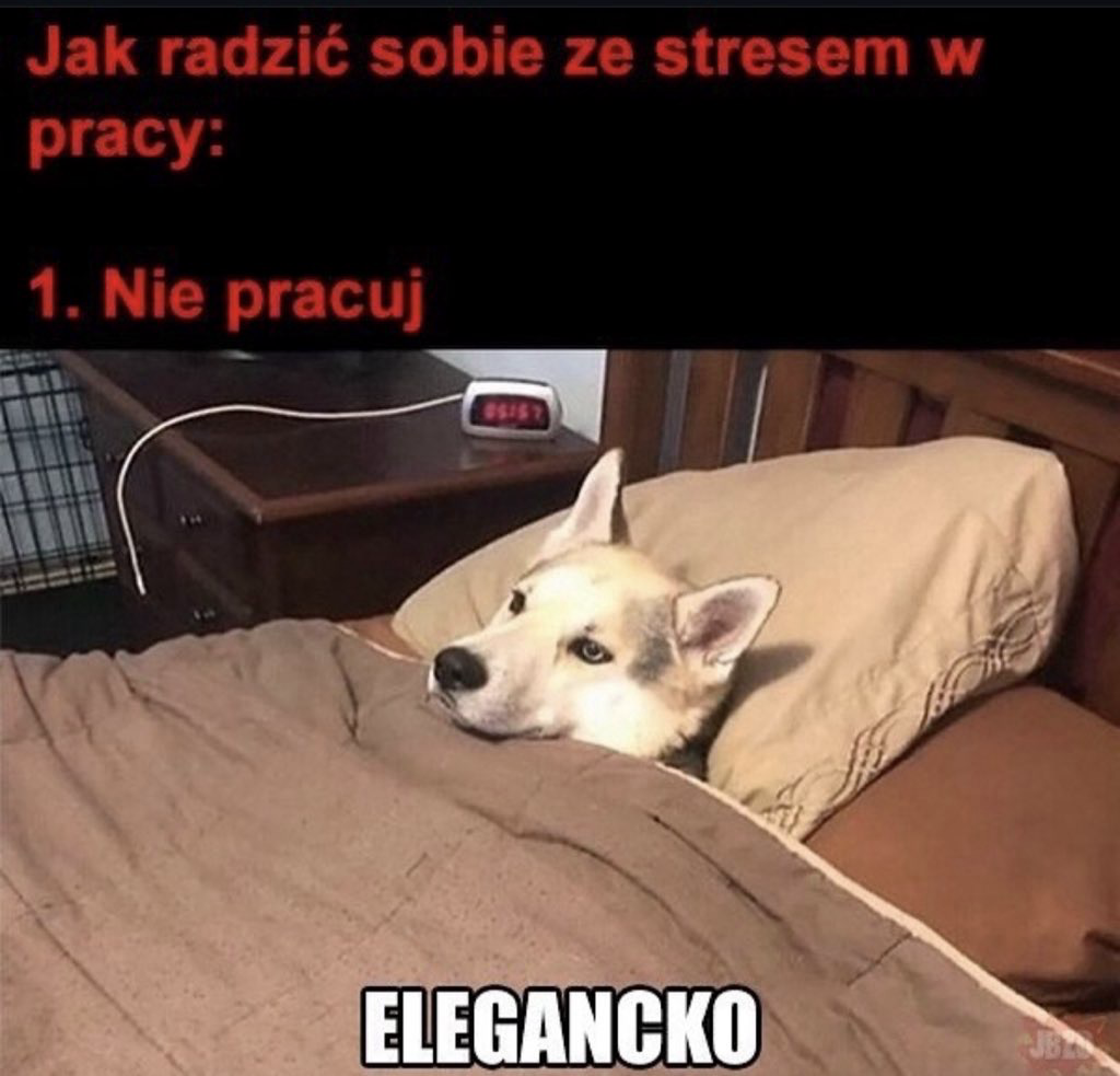 343917da-0560-4ce1-bfb4-ce60875a1f80