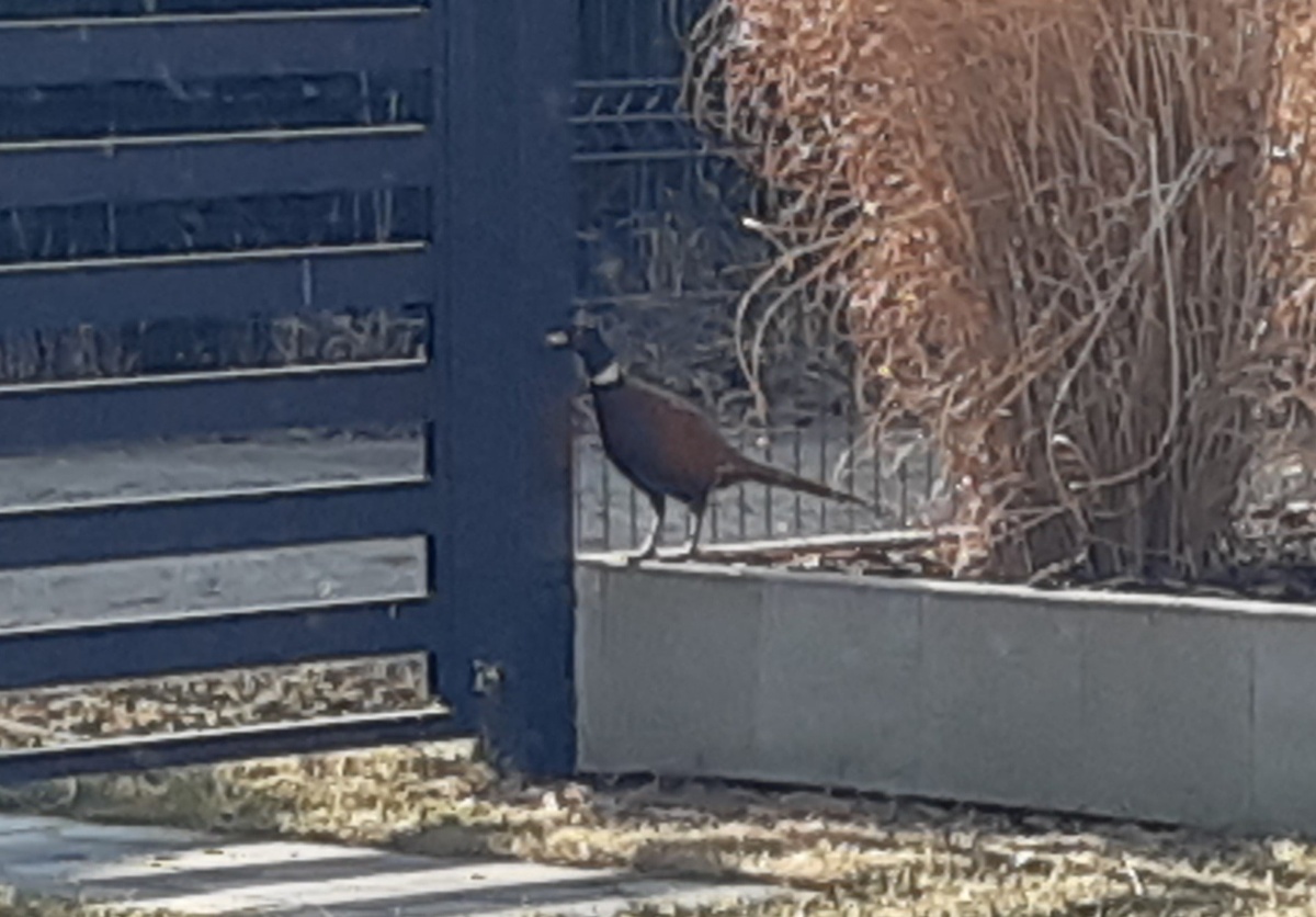 db457d65-628c-4caf-9456-f00c7ed5dc91