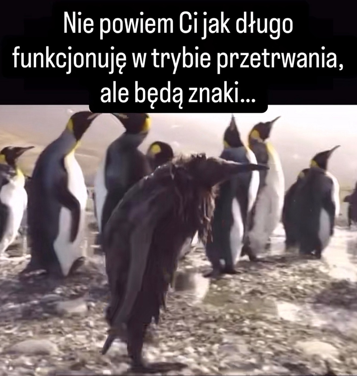 f6a23ed3-931c-463b-ad3b-67819c4803b6