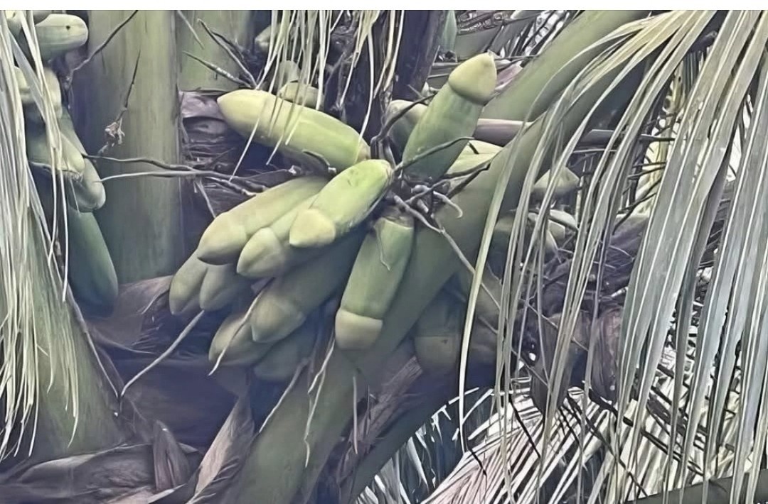 a97234ae-0293-4f7b-990d-5e570f90b882