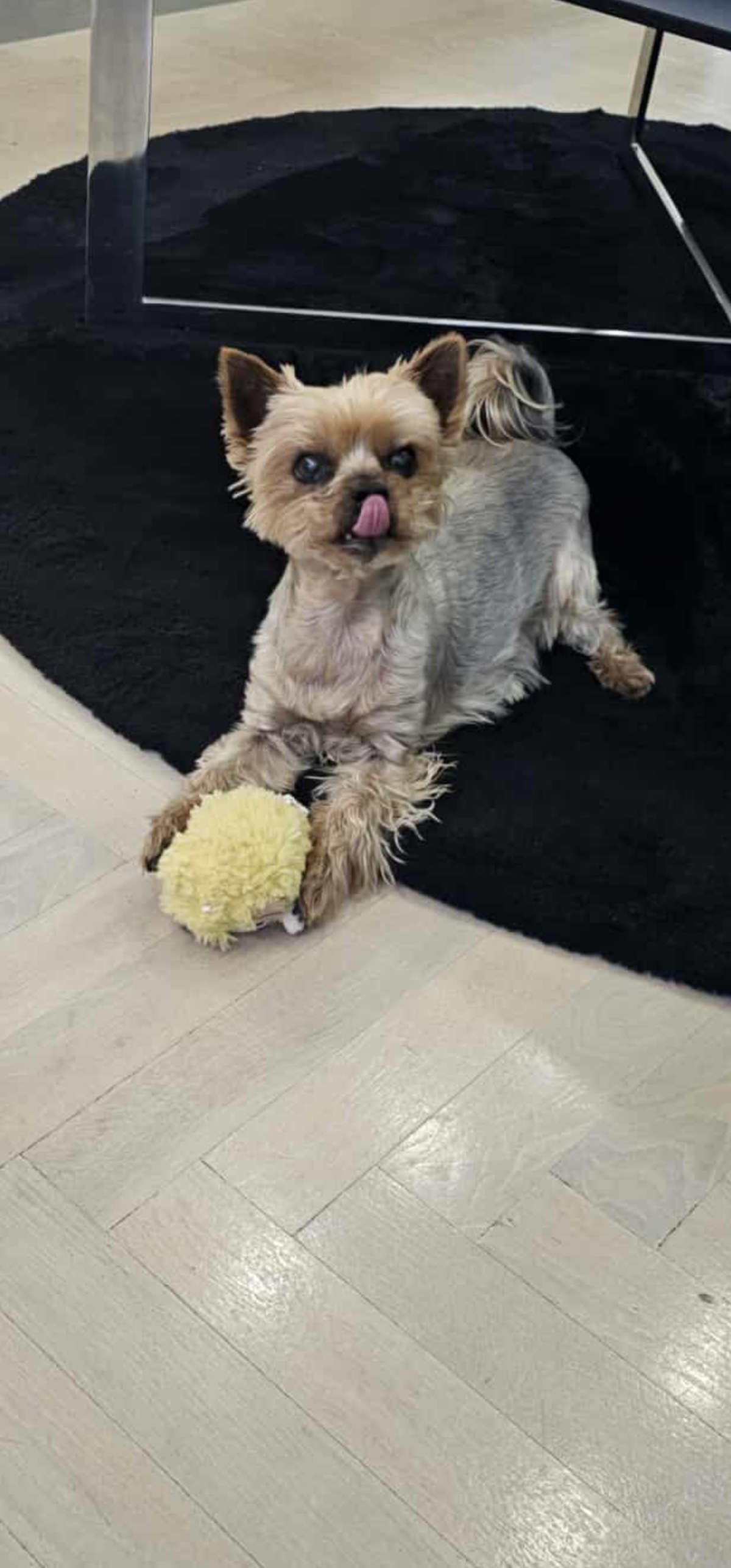 33e81b4c-9399-42a7-bce4-20e515af8870