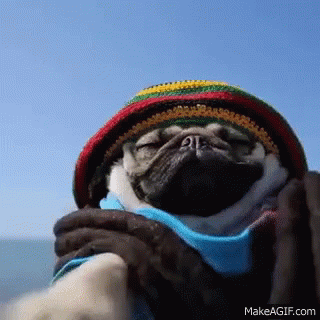 e9e2435f-d48f-408b-93a8-f36fe8a906fc