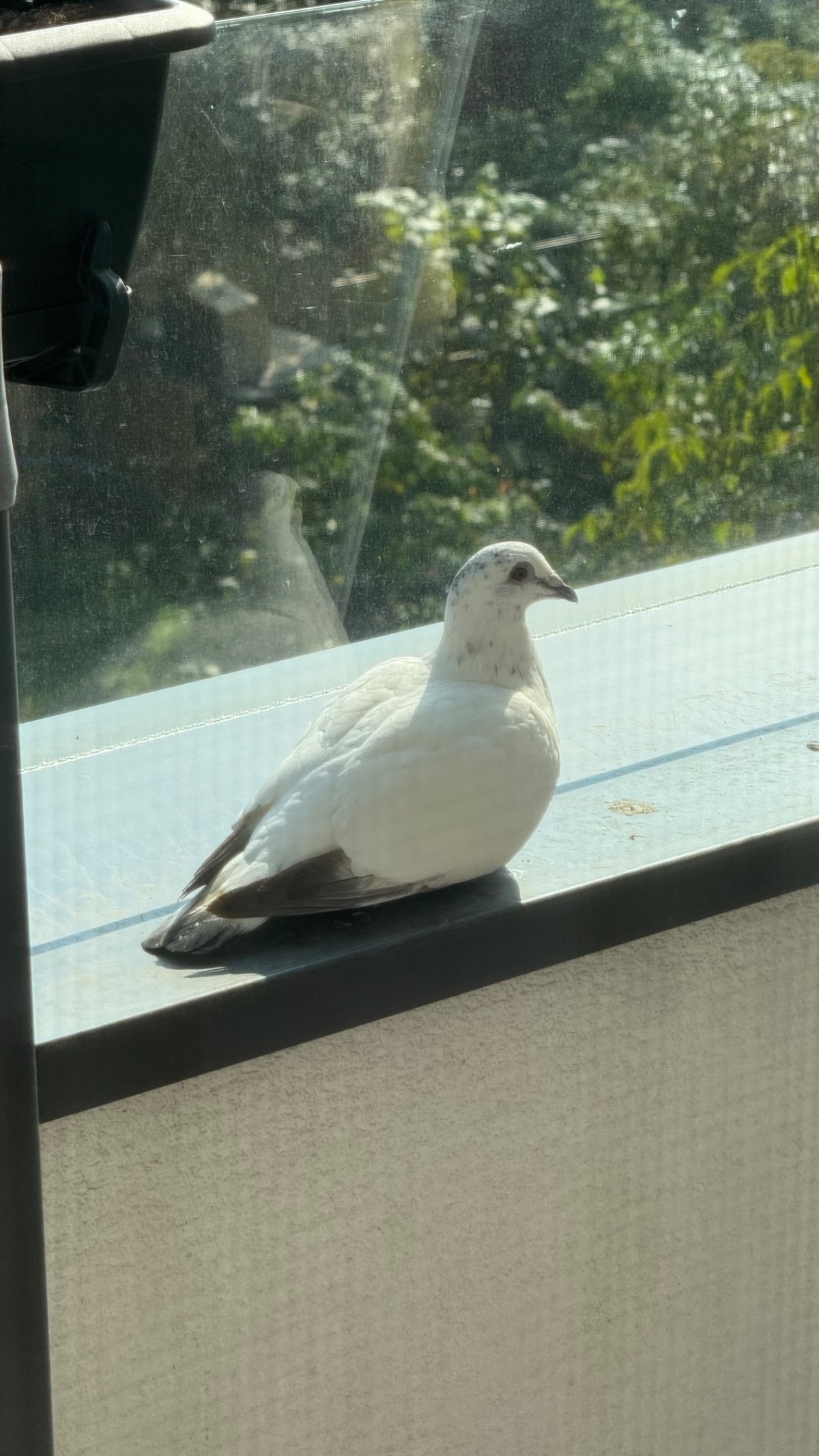 5b12282c-7db9-4daa-a99b-5560ee6b4991