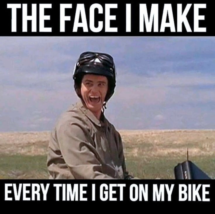 1a555b6c-9923-4bda-bfc1-4200a4ad400f