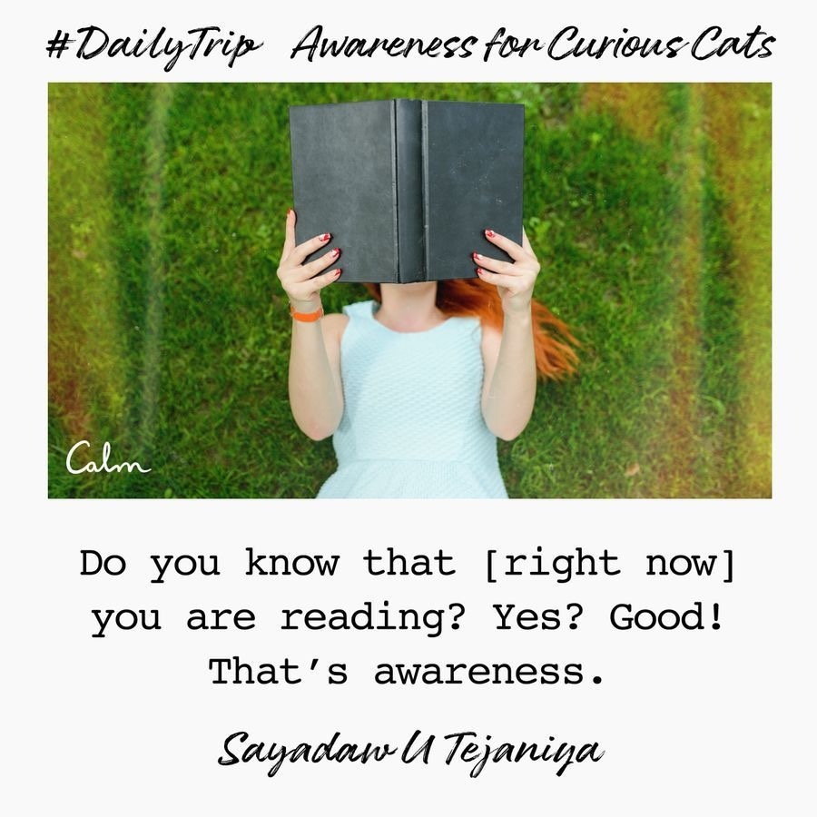 1508f01c-f683-4abe-9d59-e7e073653955