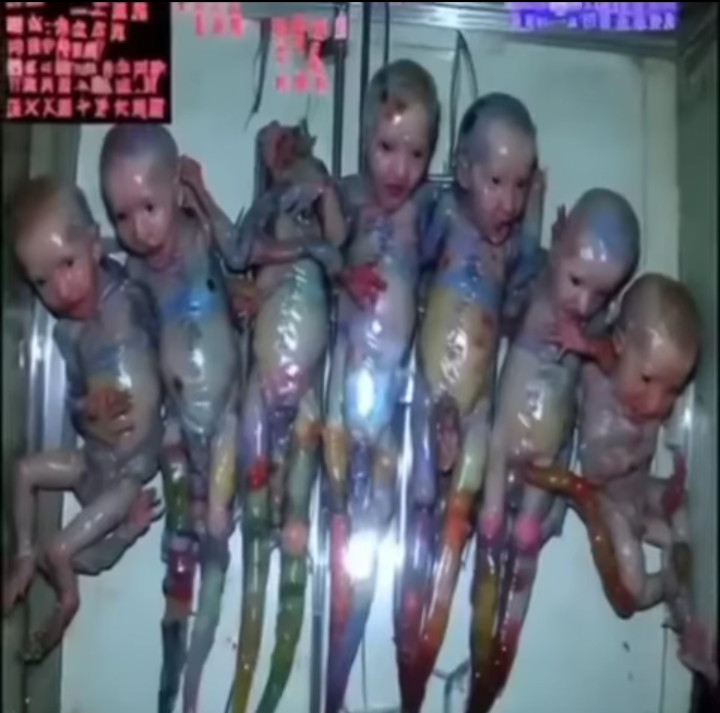 ff3993f5-5c3a-4e74-b0cb-0dd89b82782a