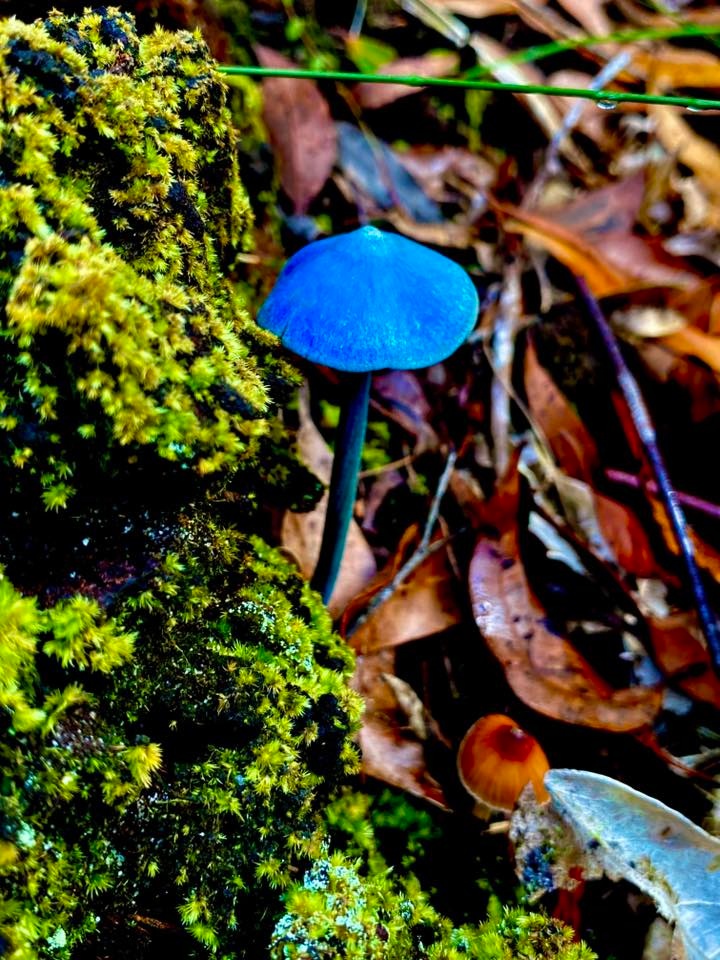 dd757d42-2167-48d9-a2e7-c198e6b11511