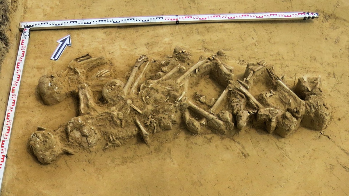 Zbiorowy grób sprzed ponad 3500 lat odkryty w Słupczy
