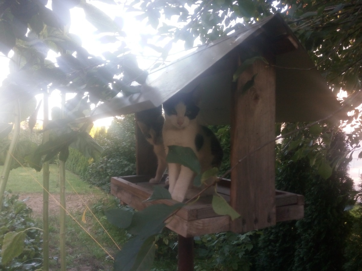 56e1b77f-f39b-4503-955d-3c27abe488a2