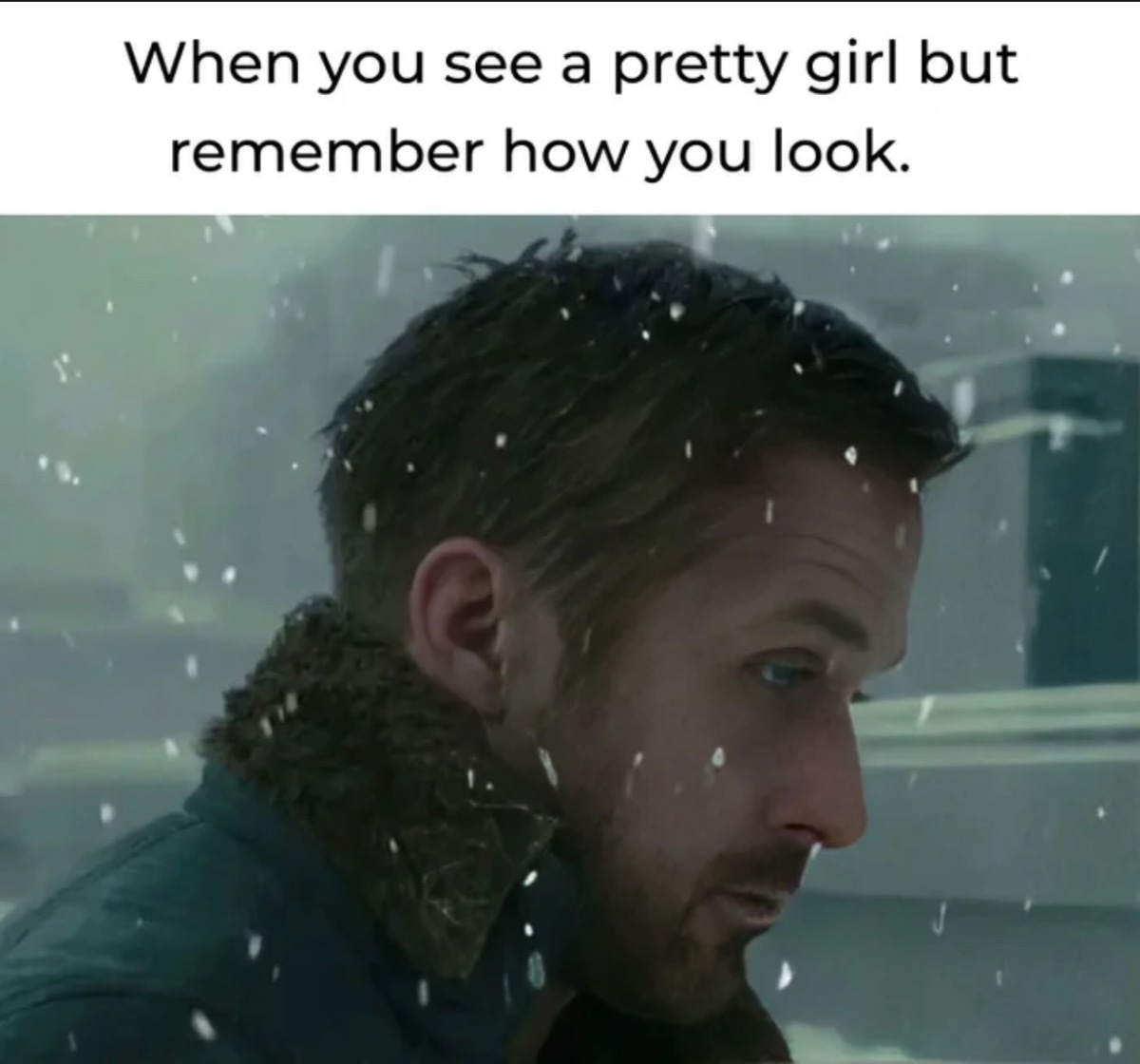 6fe2c9bb-9c69-471d-a5d9-571675207315