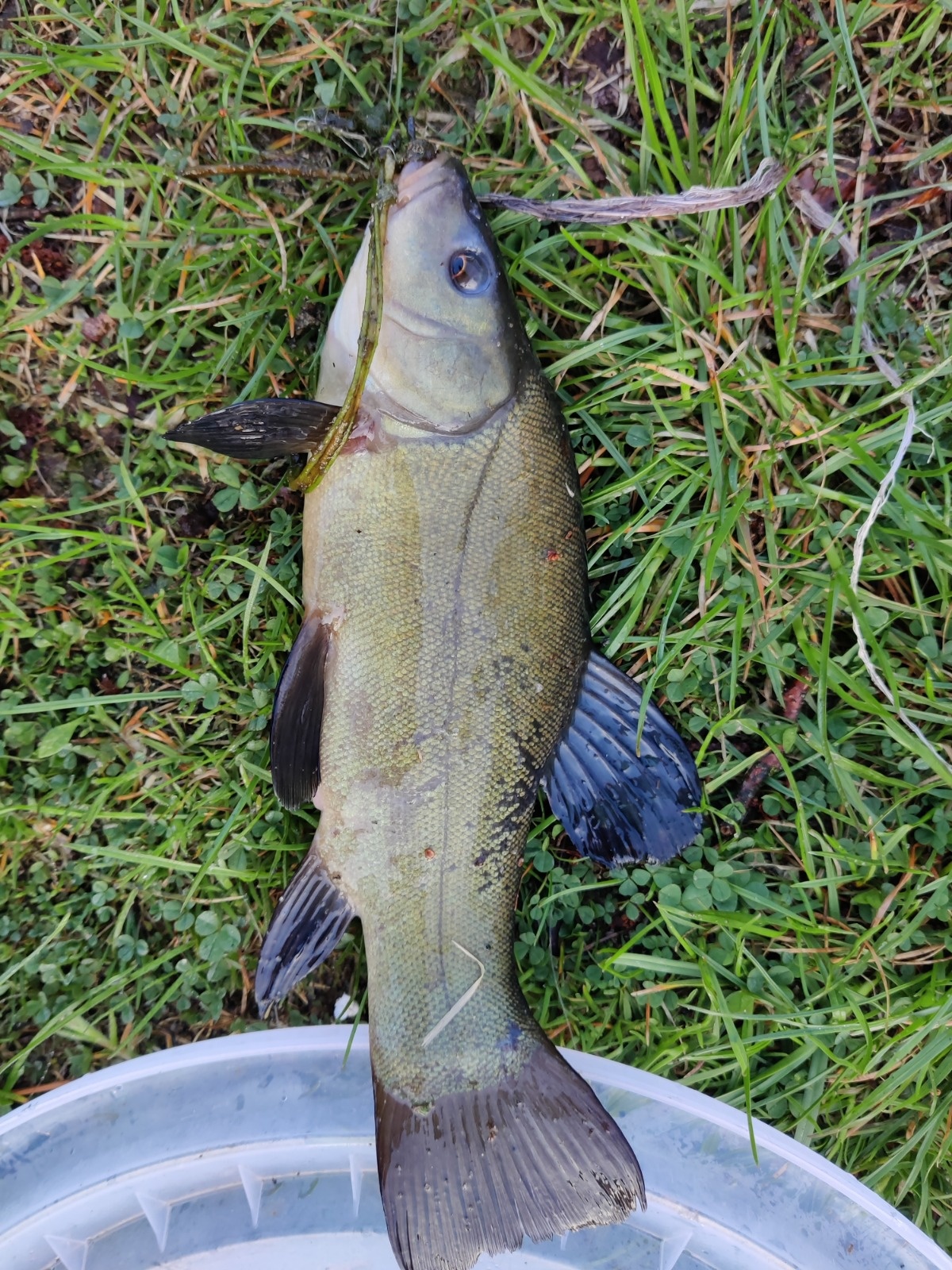 7bf2fcca-7a89-4143-982e-1366158af0f7