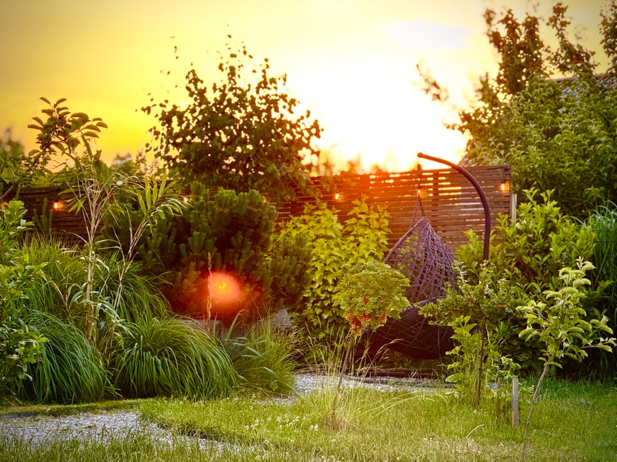 d08d43d1-9437-4d14-956c-07014c833ca3