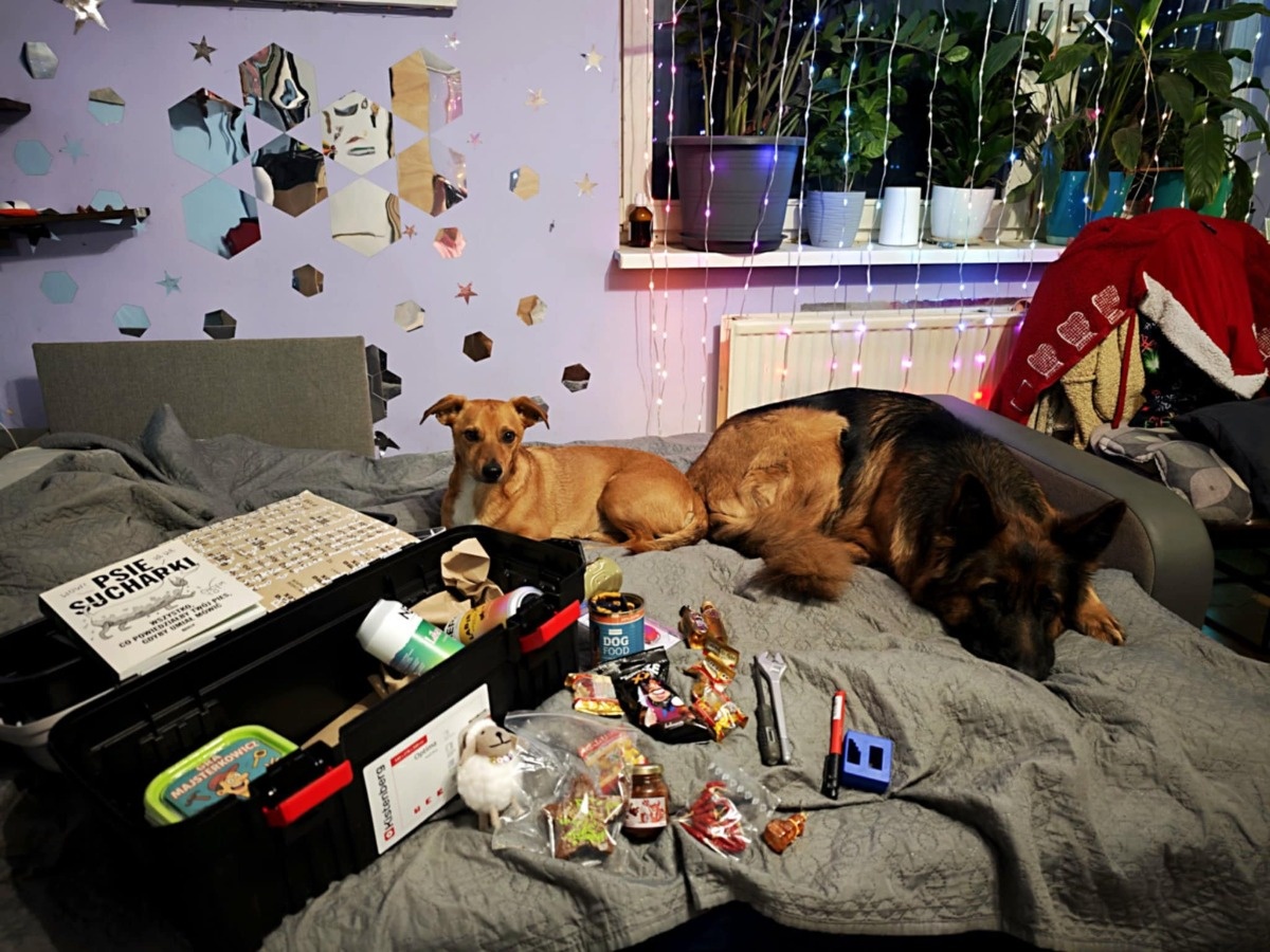 9fe00ed4-ce68-4d02-ad8b-b722ff5816b1