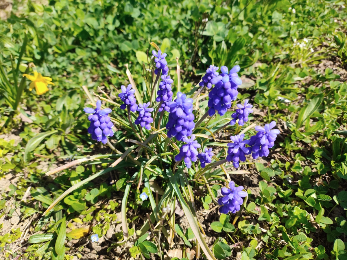 63738127-480a-4077-ae65-5545c0c1bedf