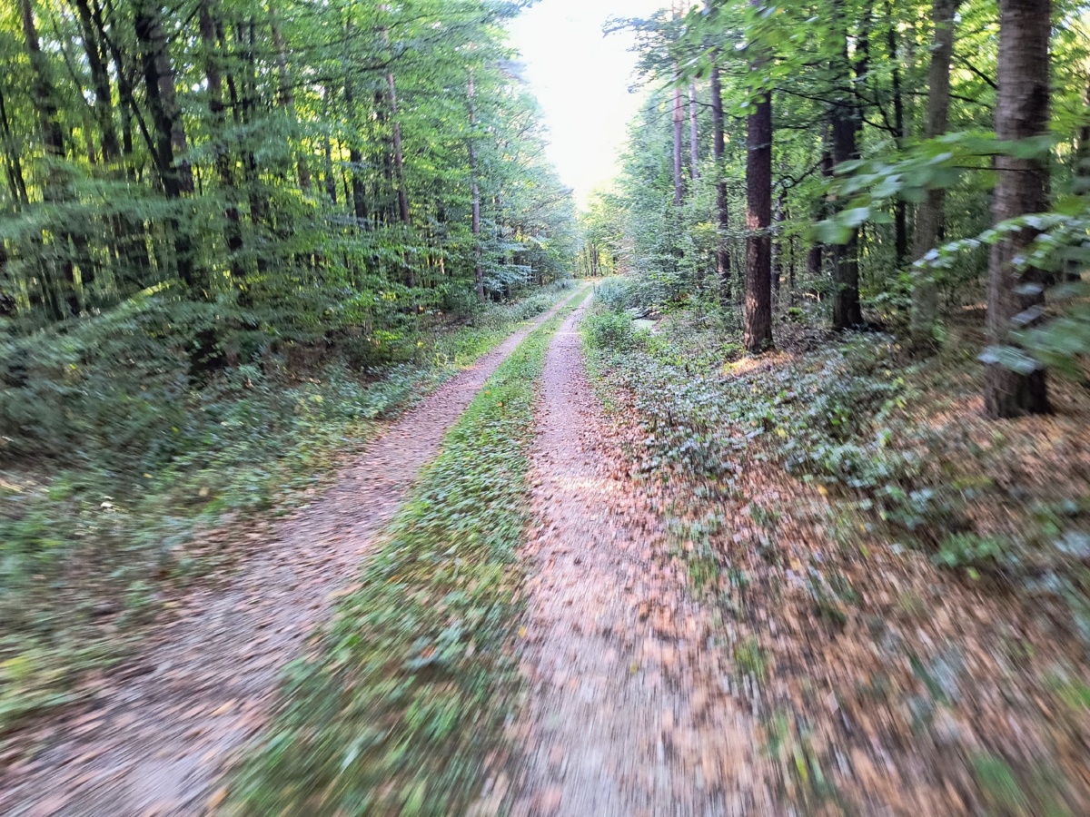 aa692747-5834-49ee-a593-0e1dc7d0aa66