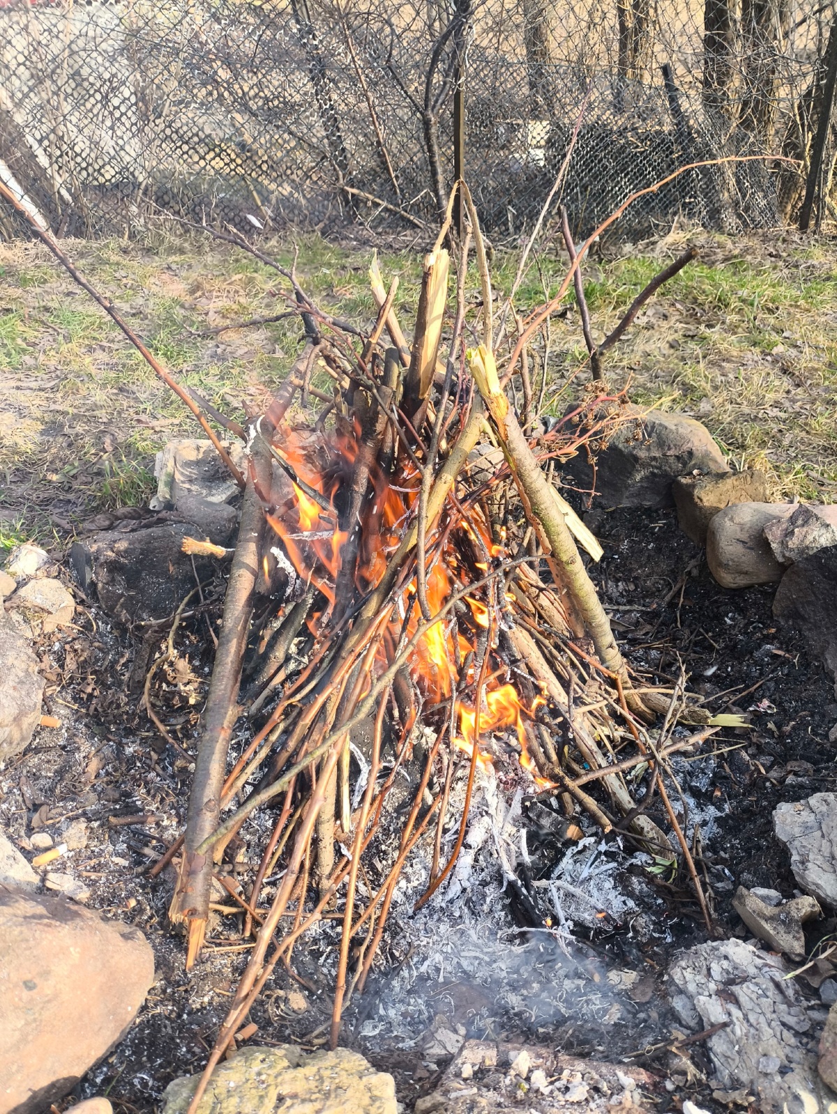 fd0097eb-83f4-466f-a21e-925b09da2315