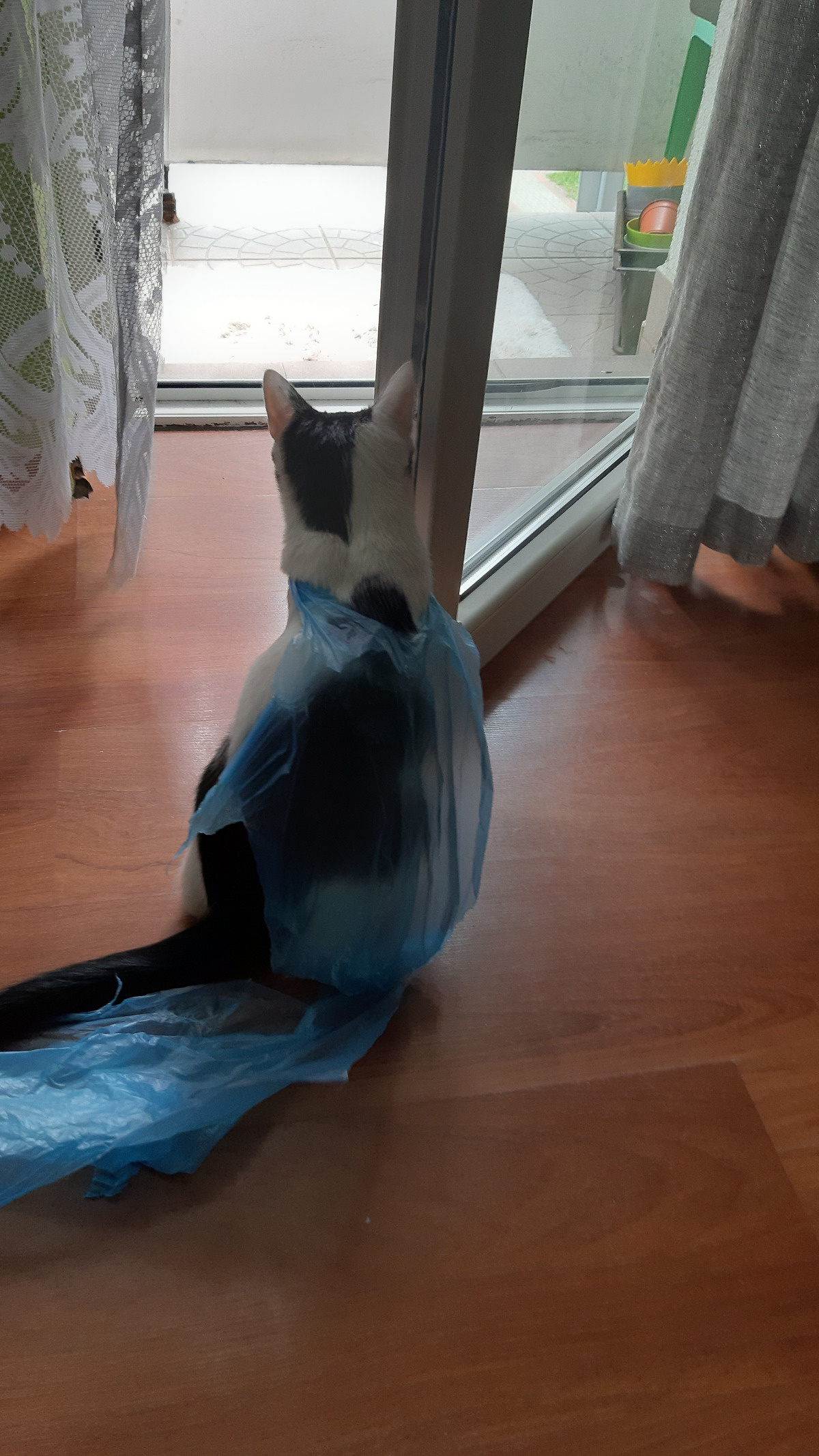 dddd8bf2-6f75-4a5f-be61-d25ada3bb7cc