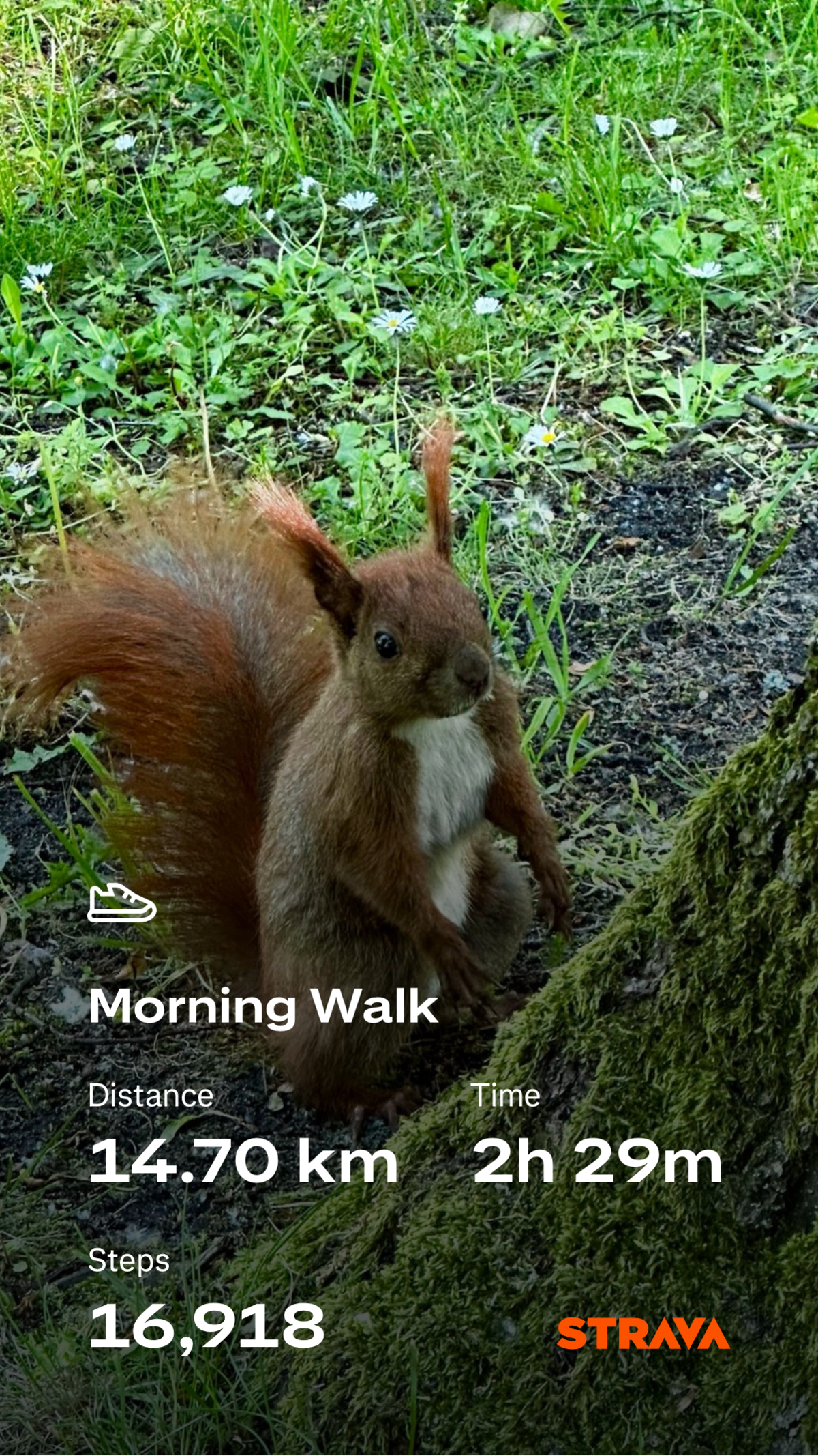 83f034c2-836f-4587-8faa-ee35d6f564a3