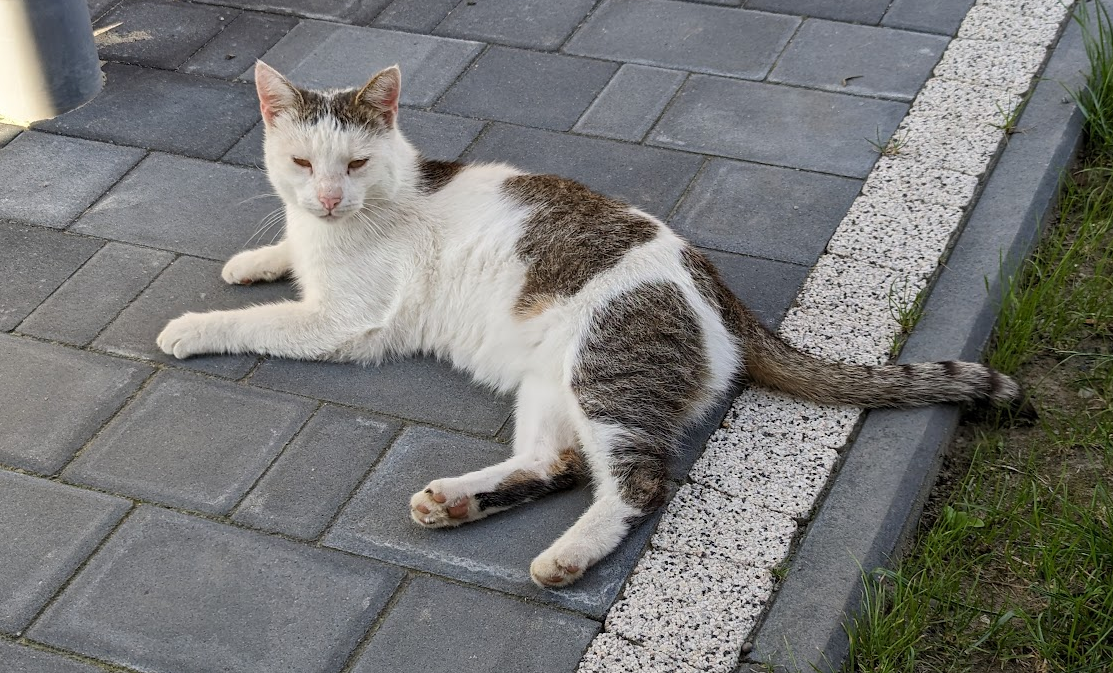 e4e15932-8a13-4d3c-8819-138ce8b3ca83