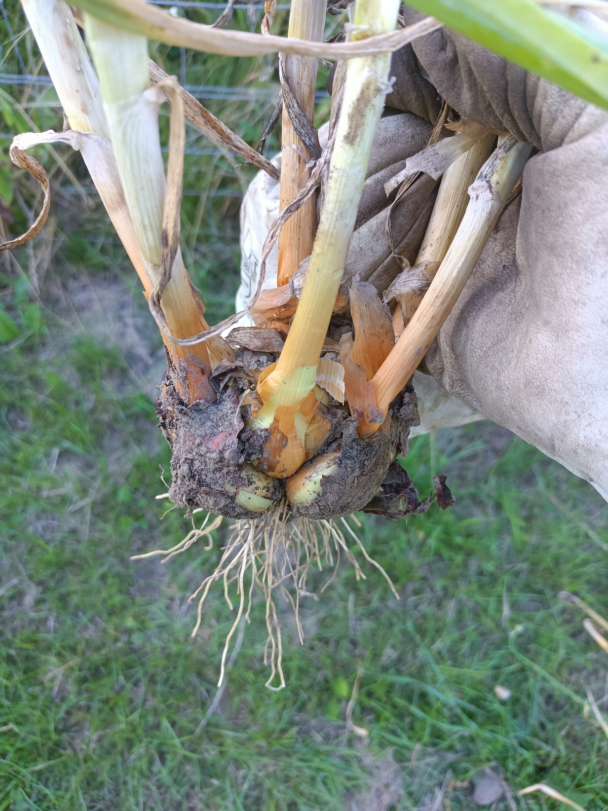 b12f1cbc-51c3-4b88-a74e-1fa3f1fdf8c3