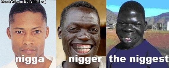 17258ca6-c1bf-43de-957c-7045308155c3