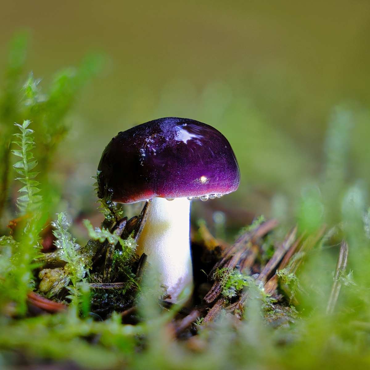 0d3594a3-b24a-4c42-bfca-60948a4b74d6