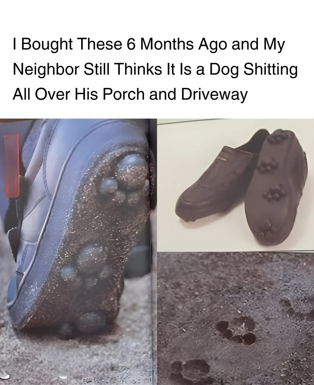 53a21849-9755-49d9-ad1a-0fb6b15a99d7