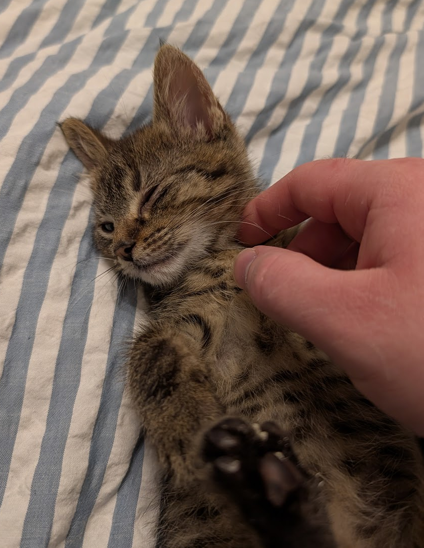 63aeffbc-3618-4b1a-9630-d5fcceec524a