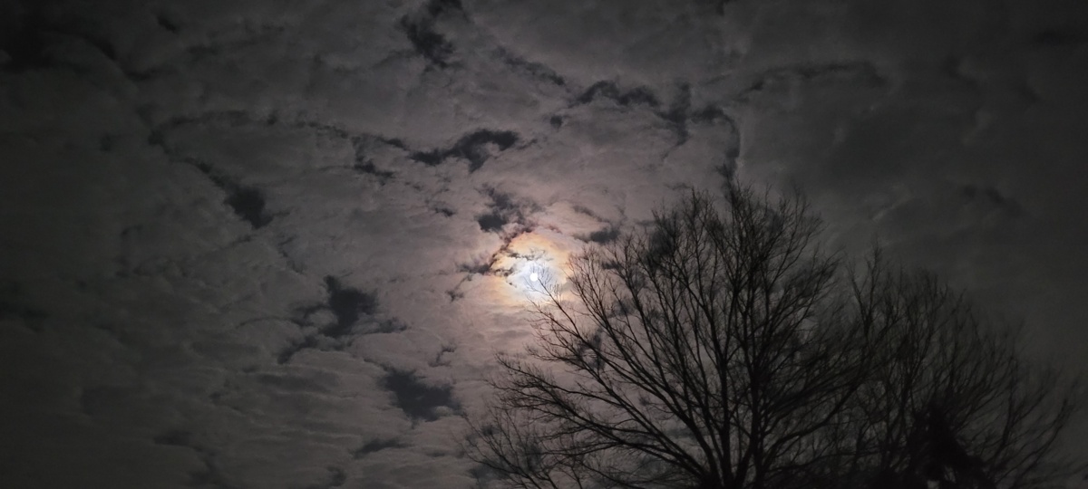 f942b1f2-88d8-4559-8e0b-8757fae1e4c3