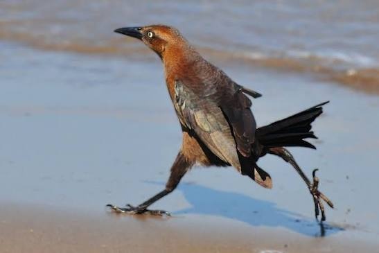 6c273d69-6423-4434-bcc7-ccd81904a076