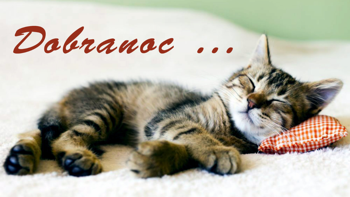 6845d492-c091-43aa-8f43-fa8e5da9d617