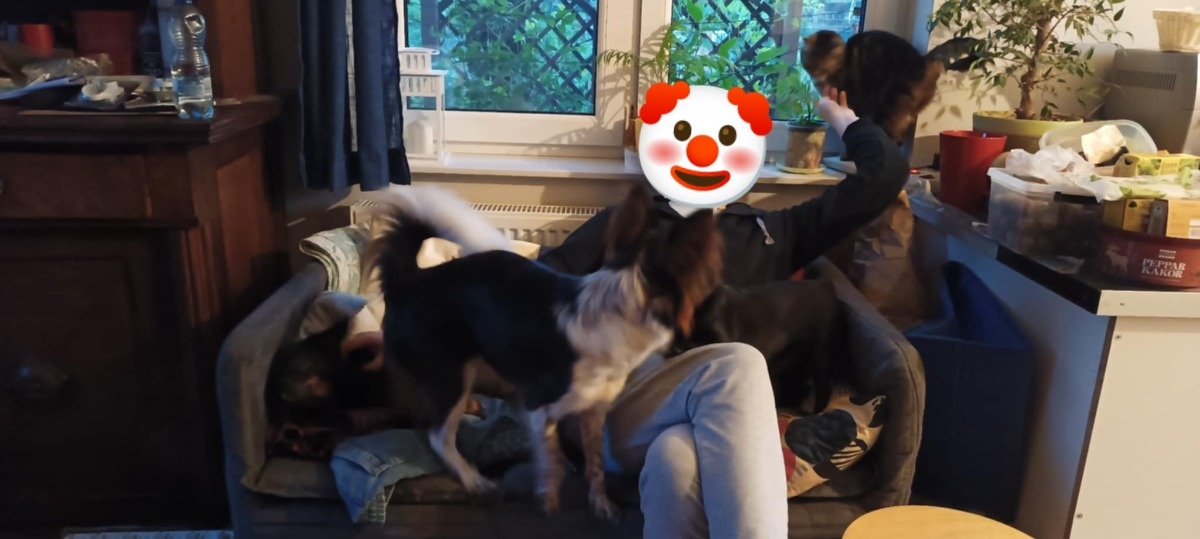 601a052e-ee09-4ee3-9dee-37d5f57d0f8e