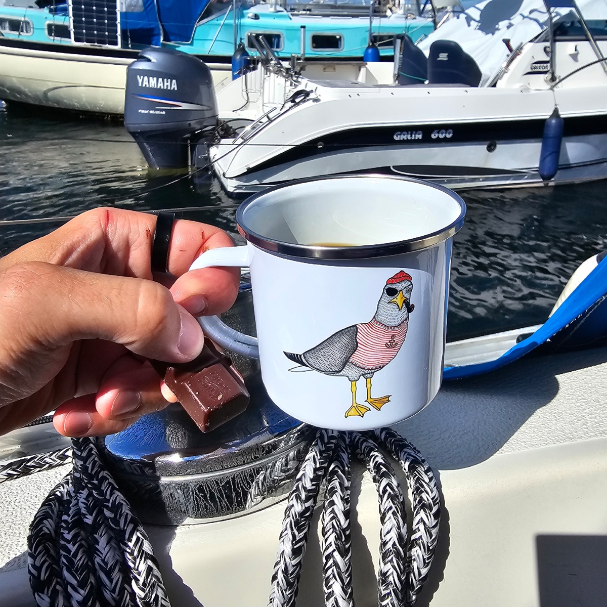 6b86c40d-31f9-4ffe-b3c7-2bf159624582