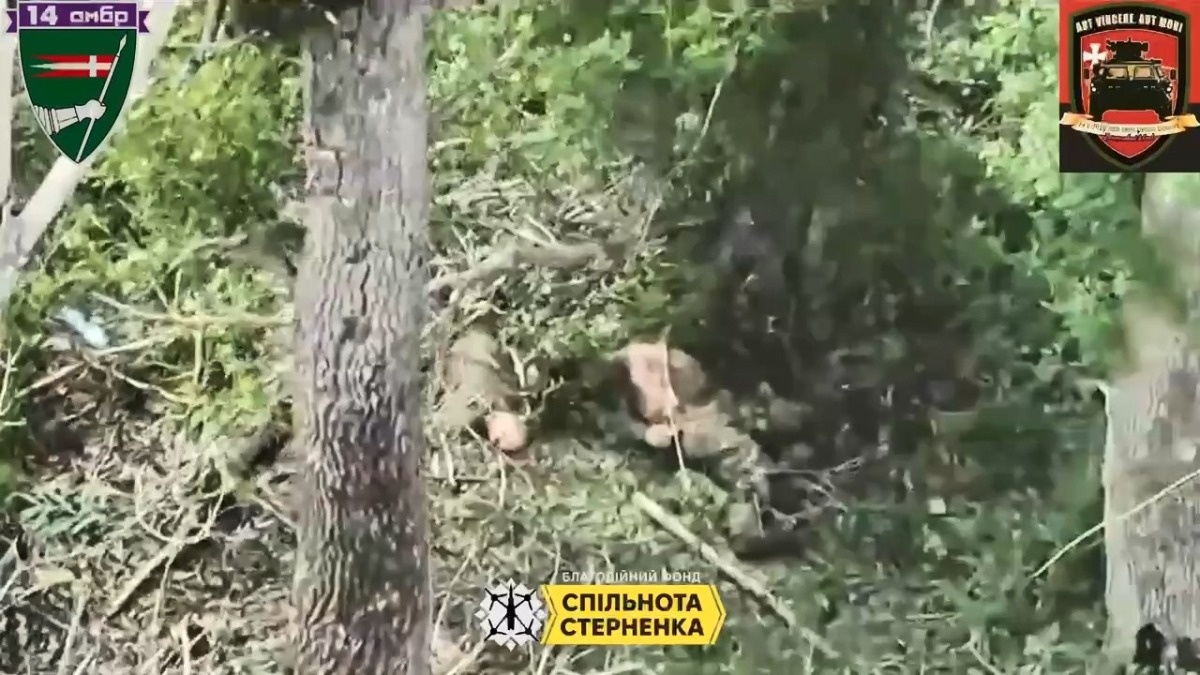 0ec1a76a-c61d-4ad6-a9c7-c762b9f52c92