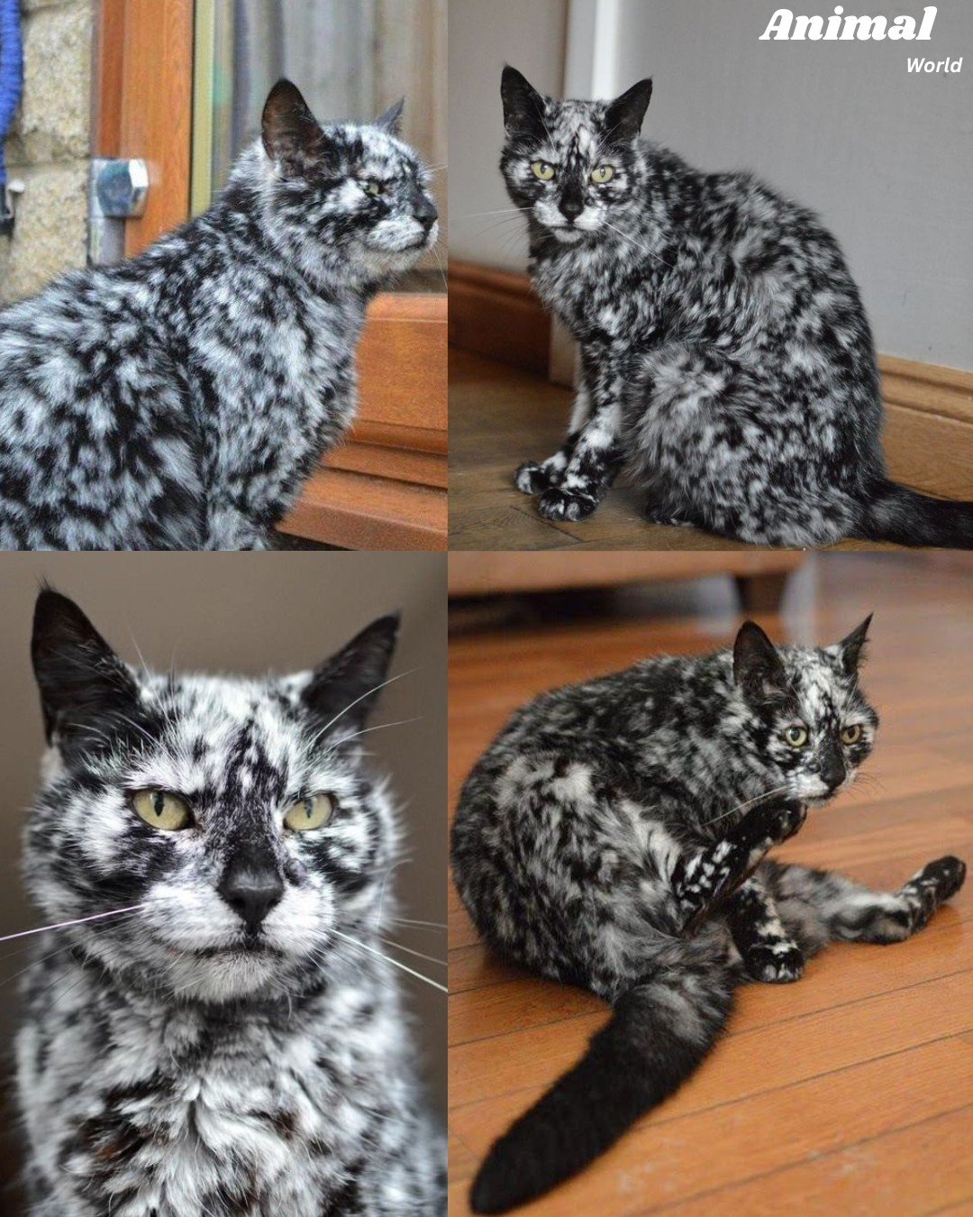 e4ce3cac-74d2-4f65-8f98-1cae4e0bdd3c