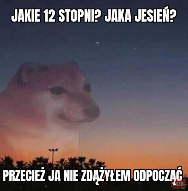 b0a46800-38f2-4b7c-8784-6eea5c8d169f