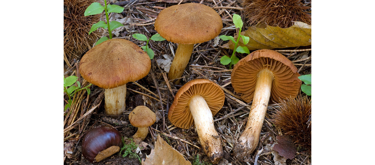 Eksperyment Myślowy – popularyzujemy naukę