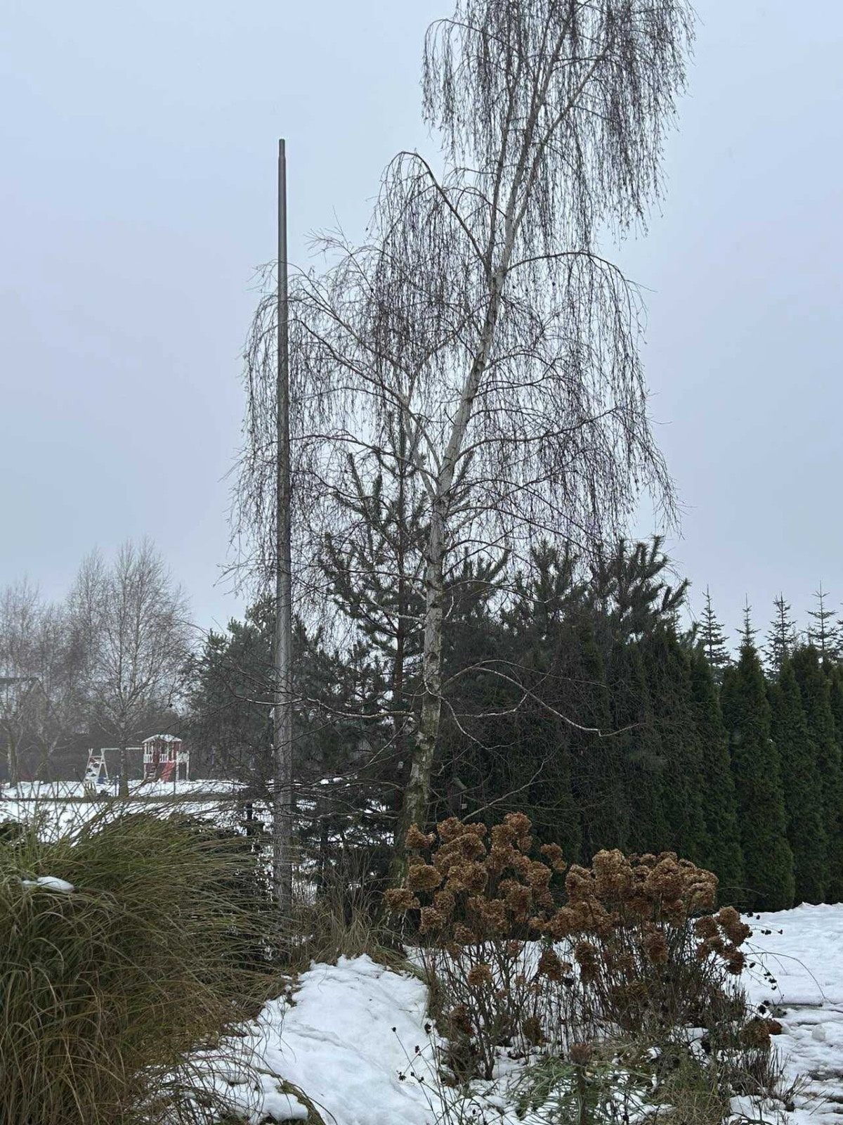 e0ce28e5-b0d9-4db8-b4dd-6f2e1ca5a8db