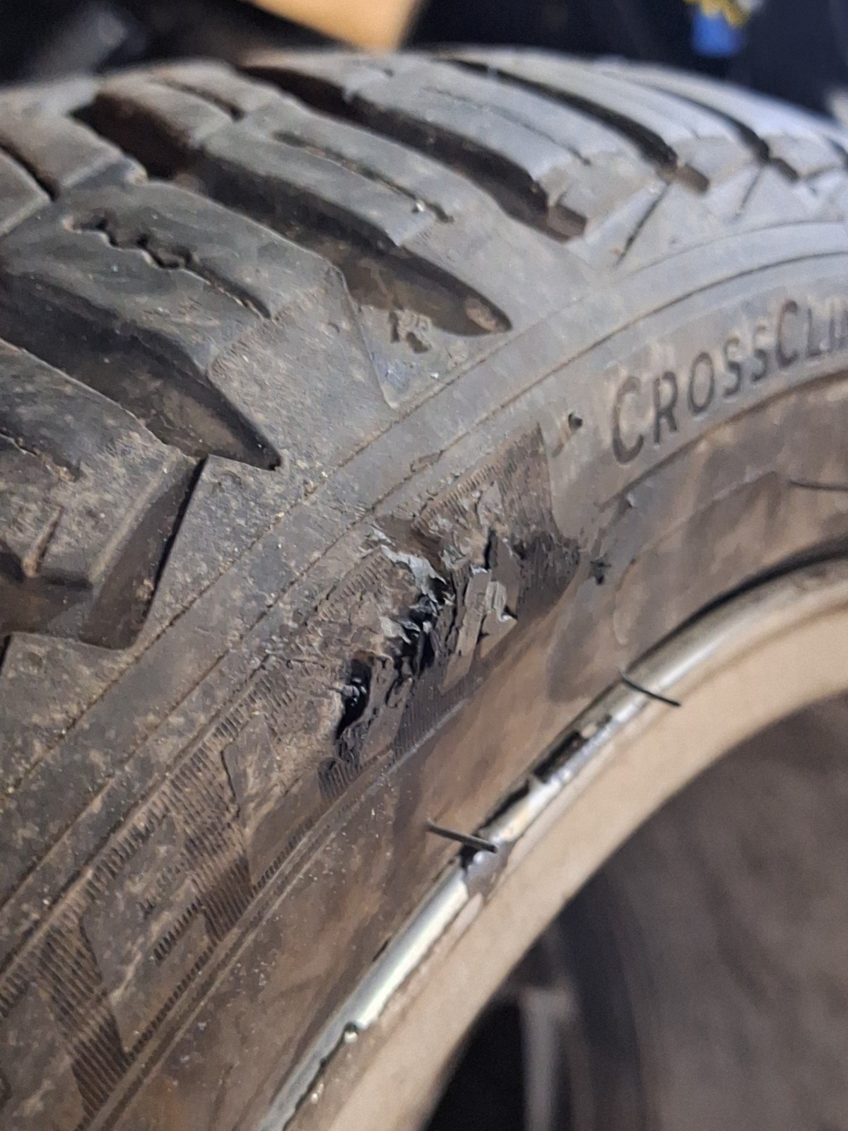 455c9e5f-b600-4359-8e81-38940eaa8c12