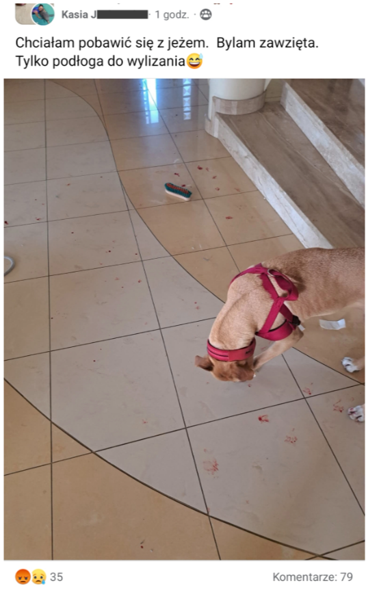 5fae8e96-5d94-465c-9795-91156cbbc5ee