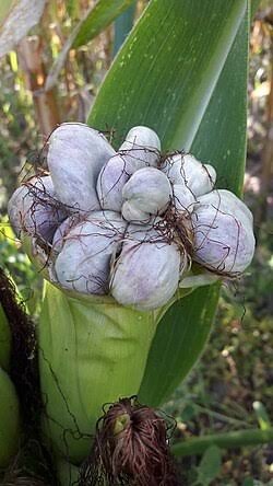 50df3b03-6dd2-4f2a-92bd-3e34829eac84