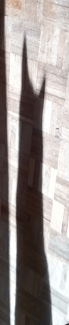 0856ad41-68ff-4ce1-a3da-00e281b88c79