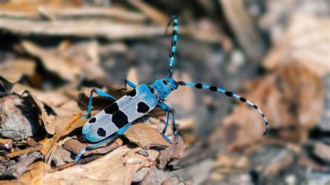 c5fee020-0766-48fc-8ad0-86ff67f0c16d