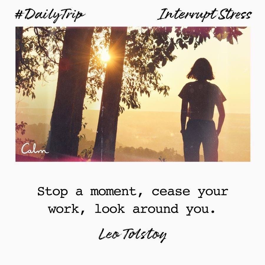 3c54aaf4-85b6-481f-83f3-f363c02537be