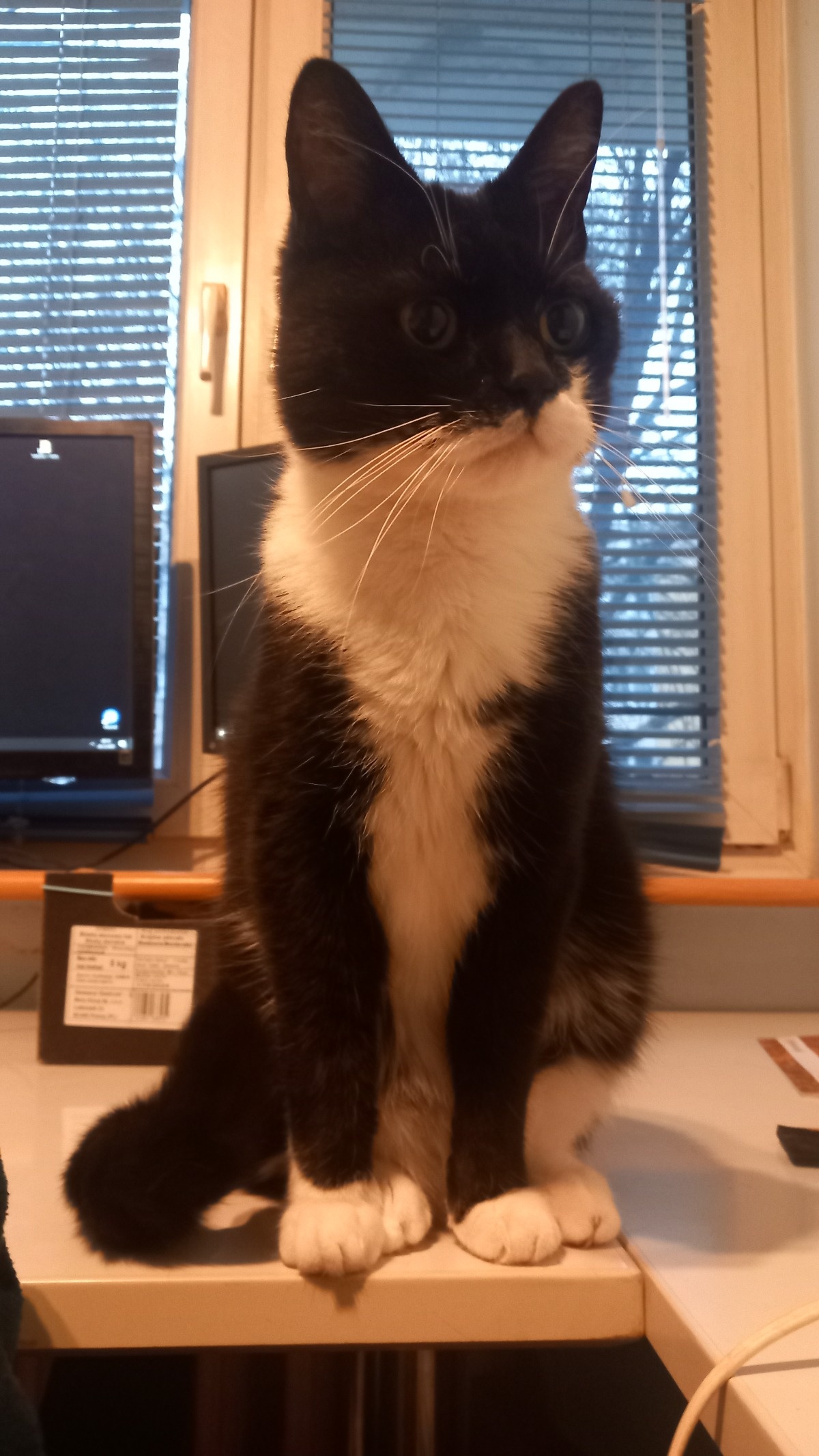 8e51fe07-1cce-40a3-8a03-ddb244a02488